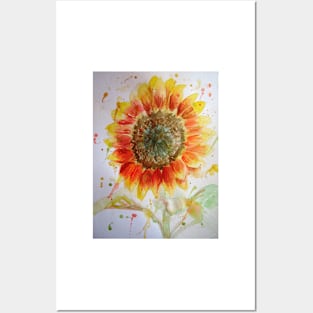 Sunflower Watercolor Painting red yellow floral art Posters and Art